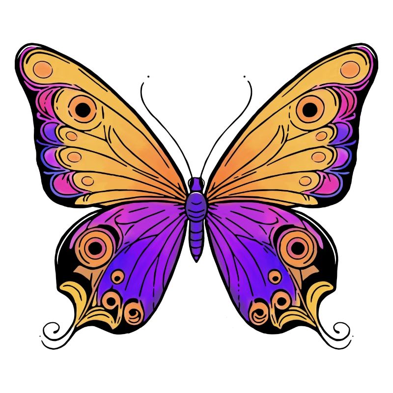 Papillon Multicolore