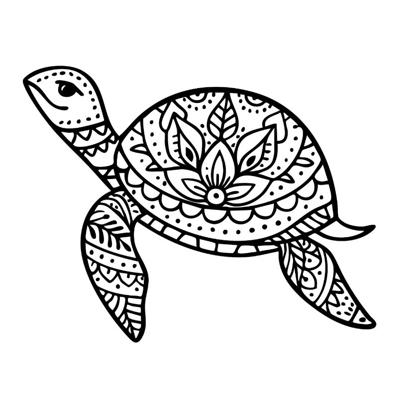 Boho Schildkröte Meer Illustration Boho Stil