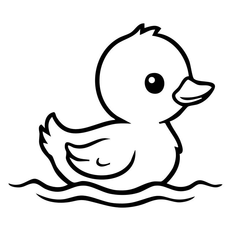 Nage de bébé canard – Noir et Blanc