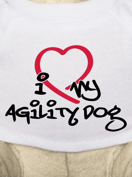 Agility dog