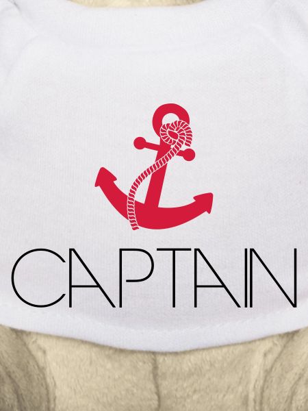 Captain Cool ancre Logo