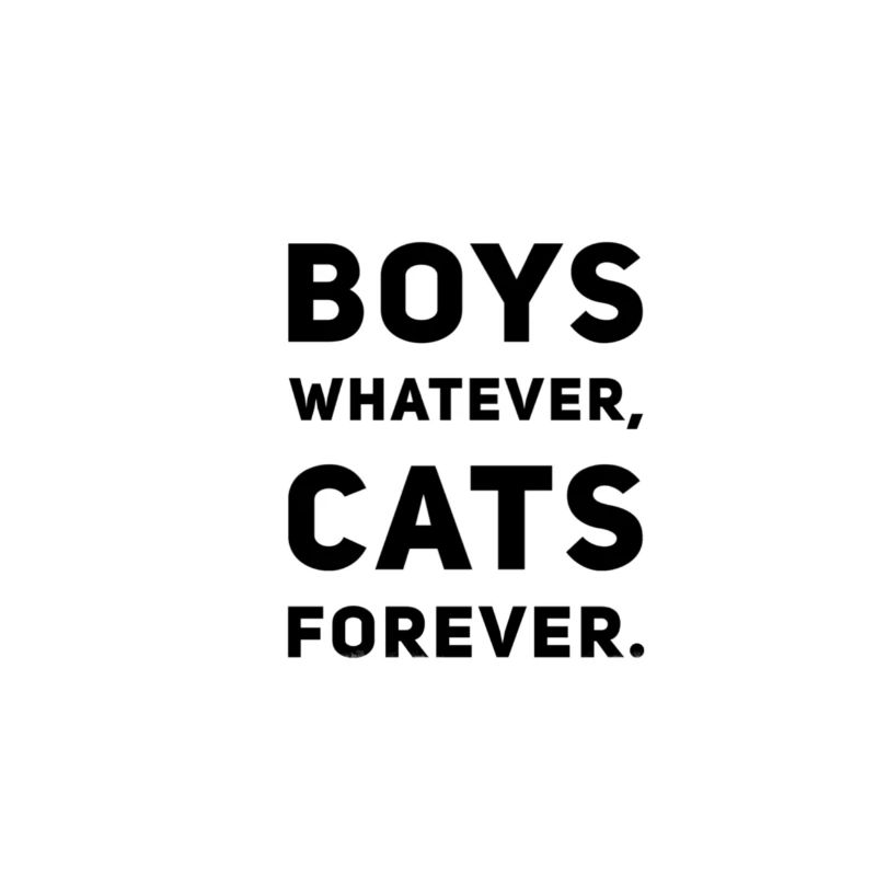 Boys Whatever Cats Forever – Cat Lover Spruch