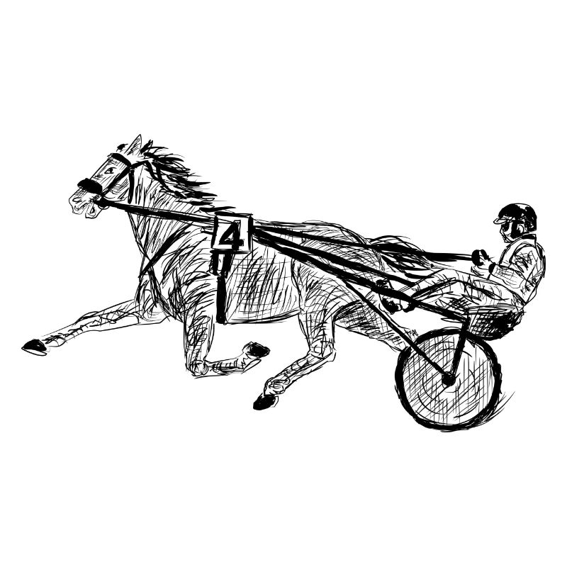 harness racing