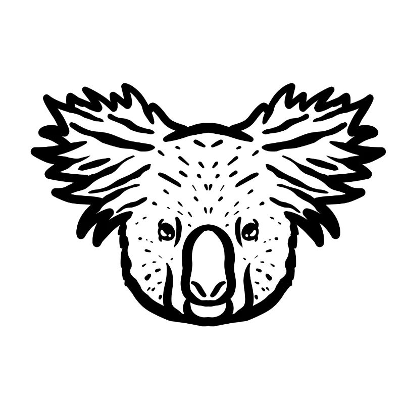 Koala schwarz