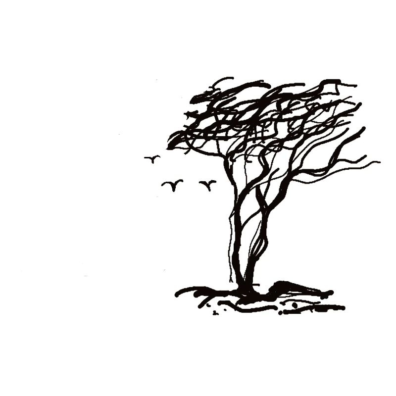 windflüchter 2