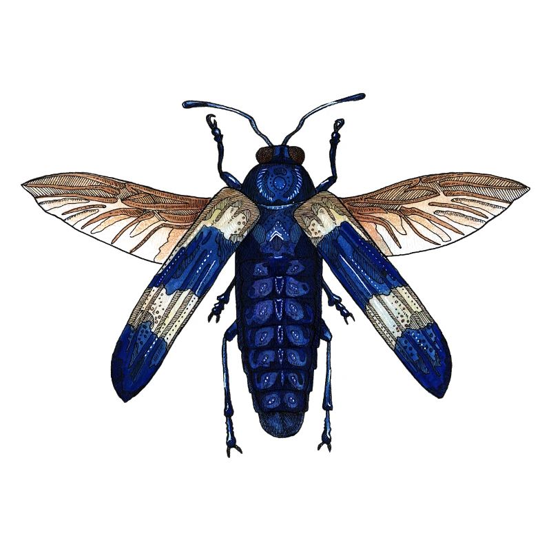 Großer blauer