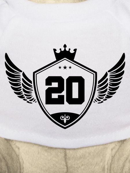20 wappen krone