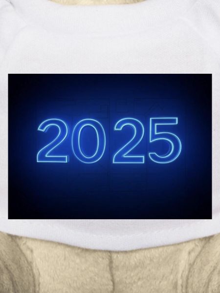 2025
