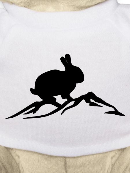 Bunny on mountain