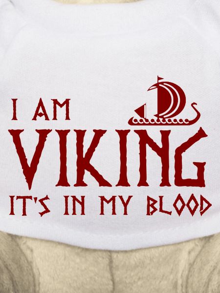 Ich bin Wikinger