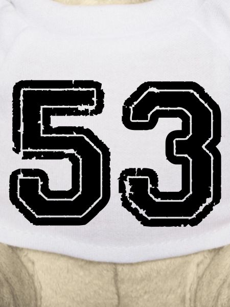 53