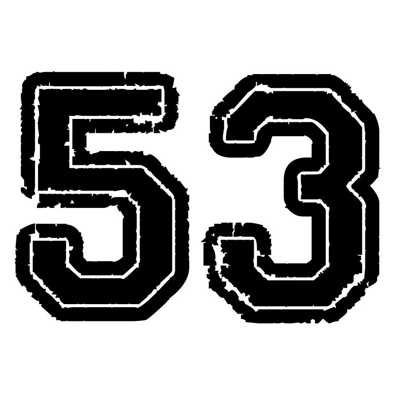 53
