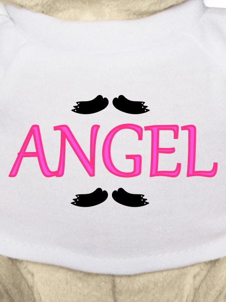Ailes d’ange