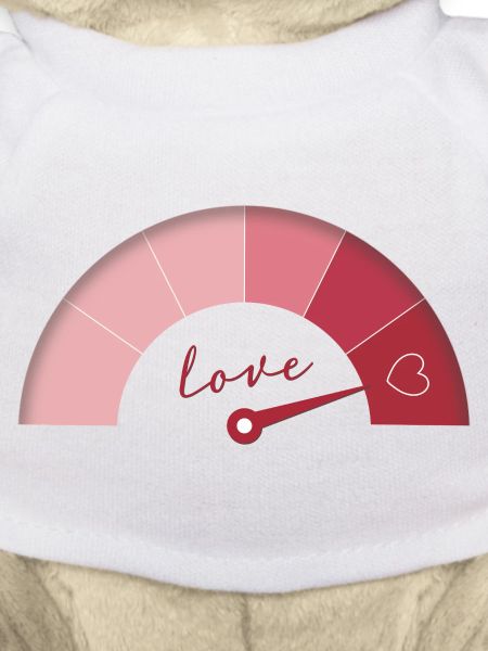 Love Meter – Anniversary Edition