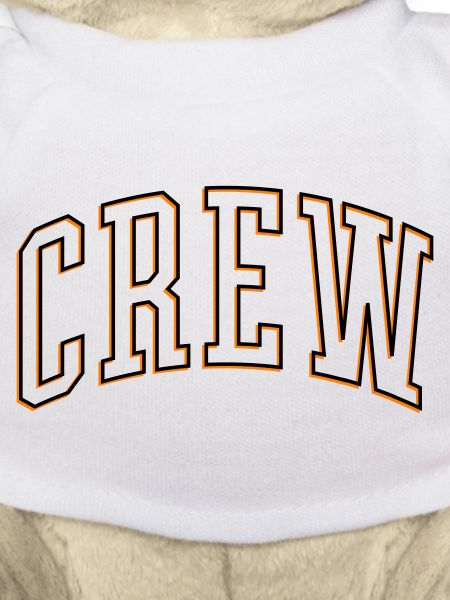 Crew Outline