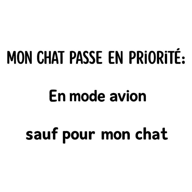 Mon chat passe en priorité.