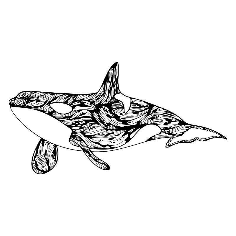 Killer whale