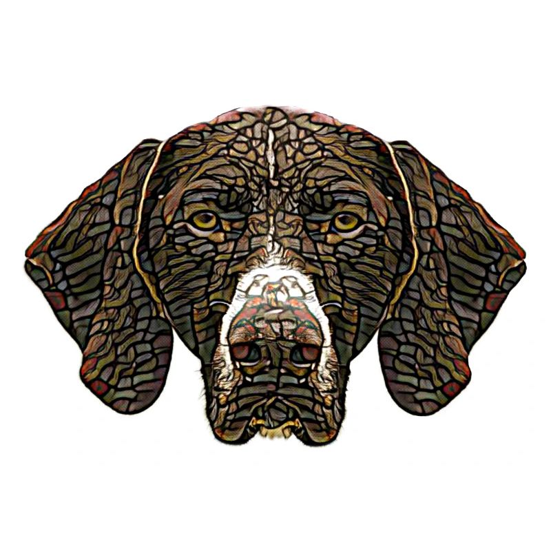 German Shorthaired Pointer Face