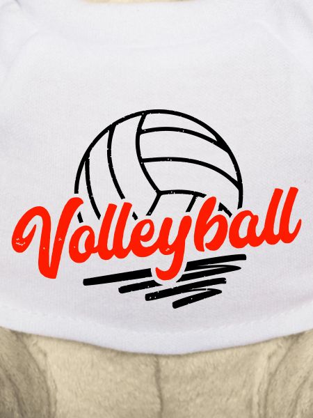 Volley-ball