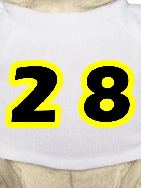 28 Symbole numérique