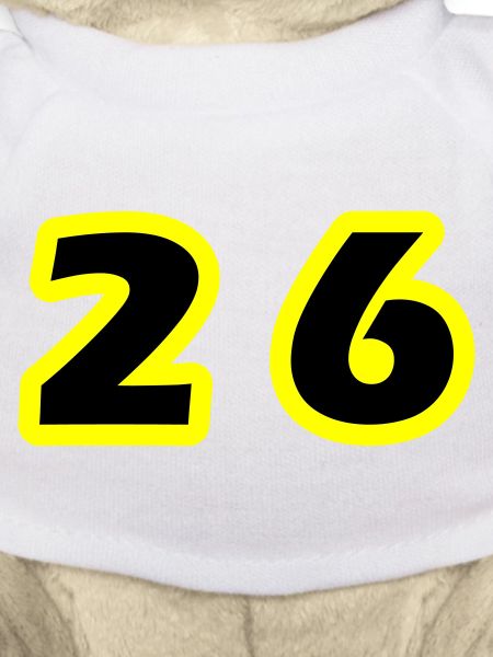 26 Number symbol