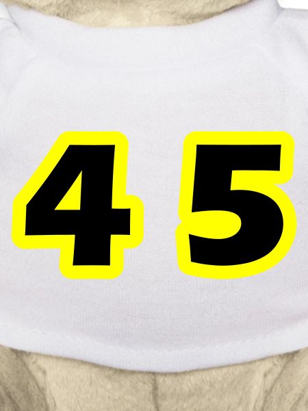 45 Number symbol