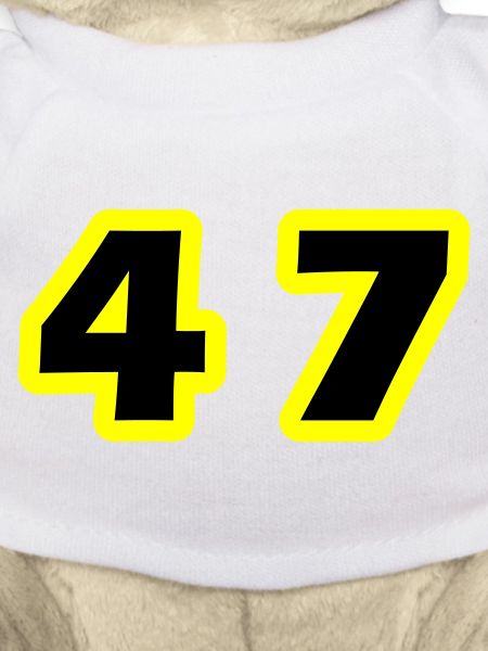 47 Symbole numérique