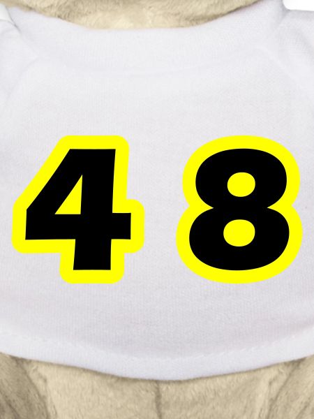48 Number Symbol