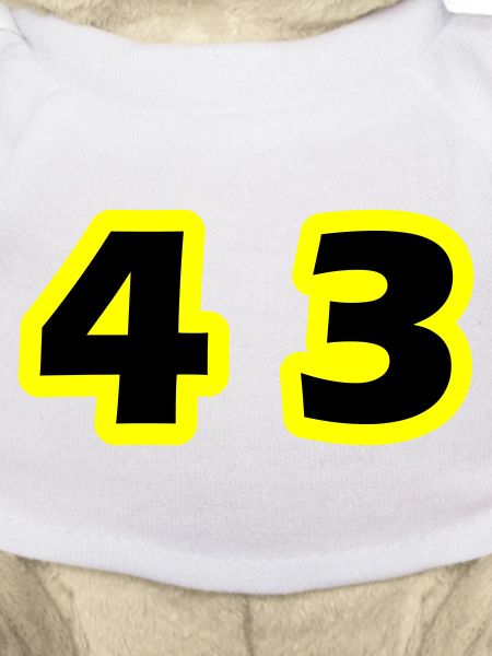 43 Number symbol