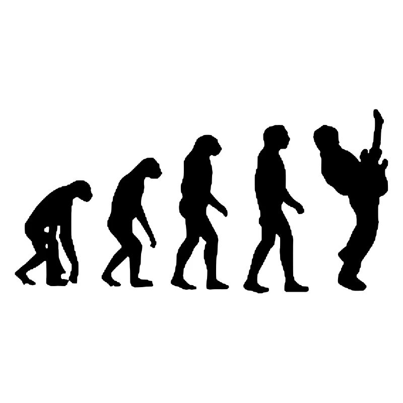 Evolution du guitariste, guitariste, musicien #