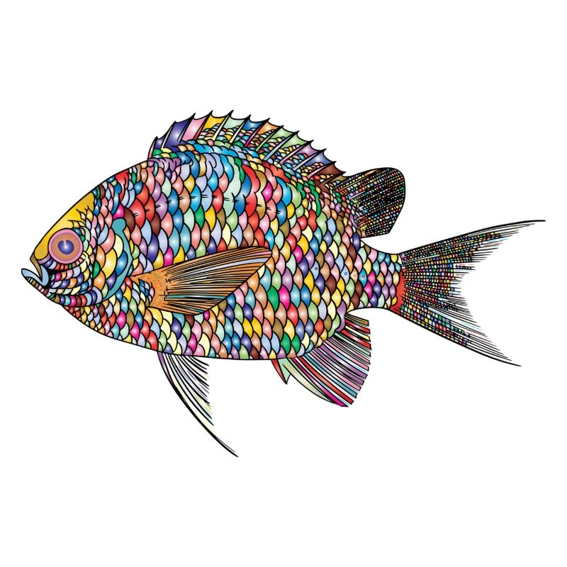 fish / fish