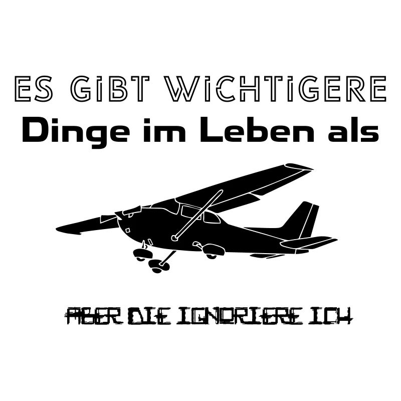 cessna Motorflugzeug Motorflieger Pilot