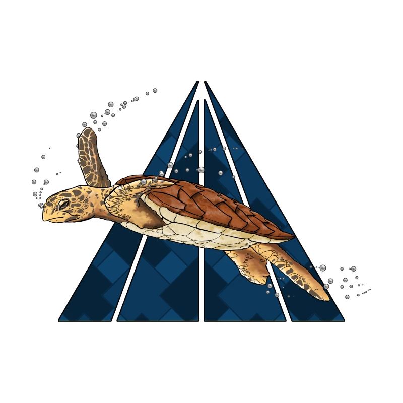 Hawksbill turtle