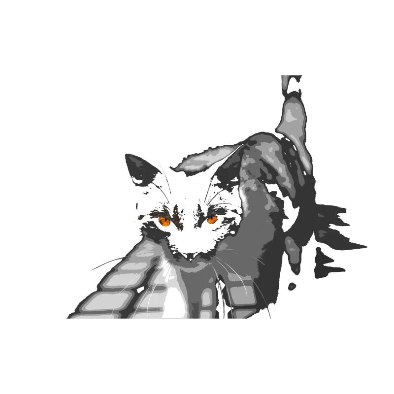 Die seltsame Katze