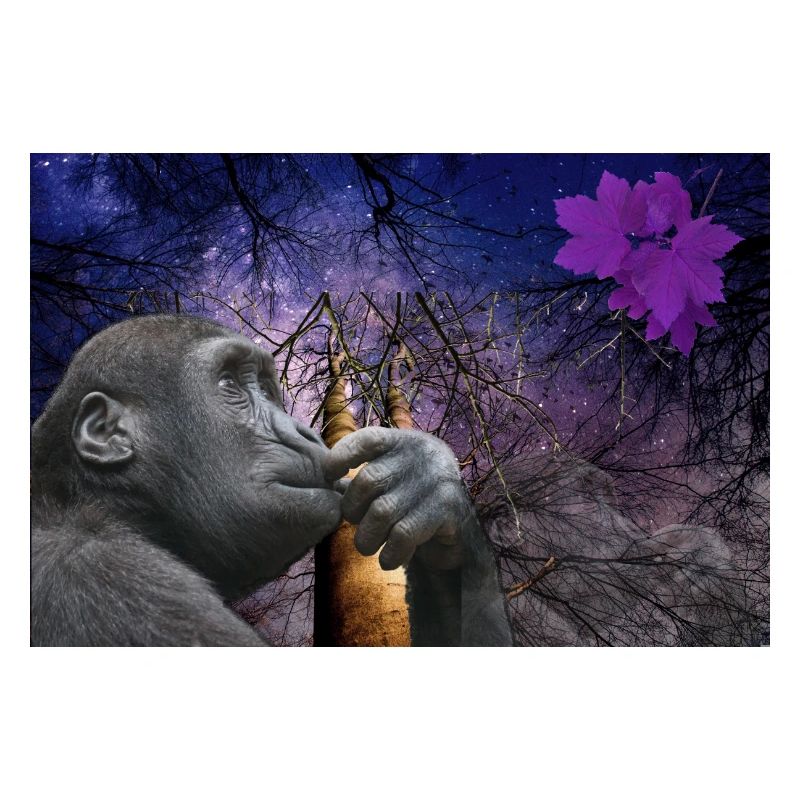 Affe.