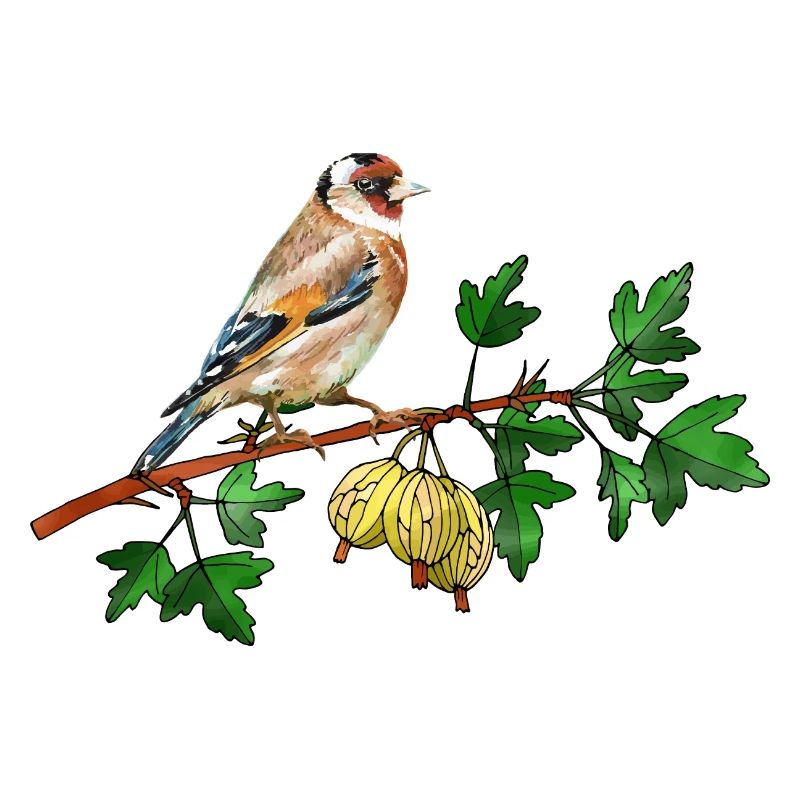 Vogel