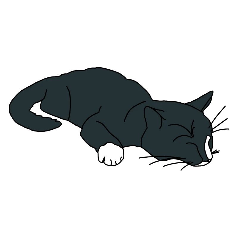 Chat endormi
