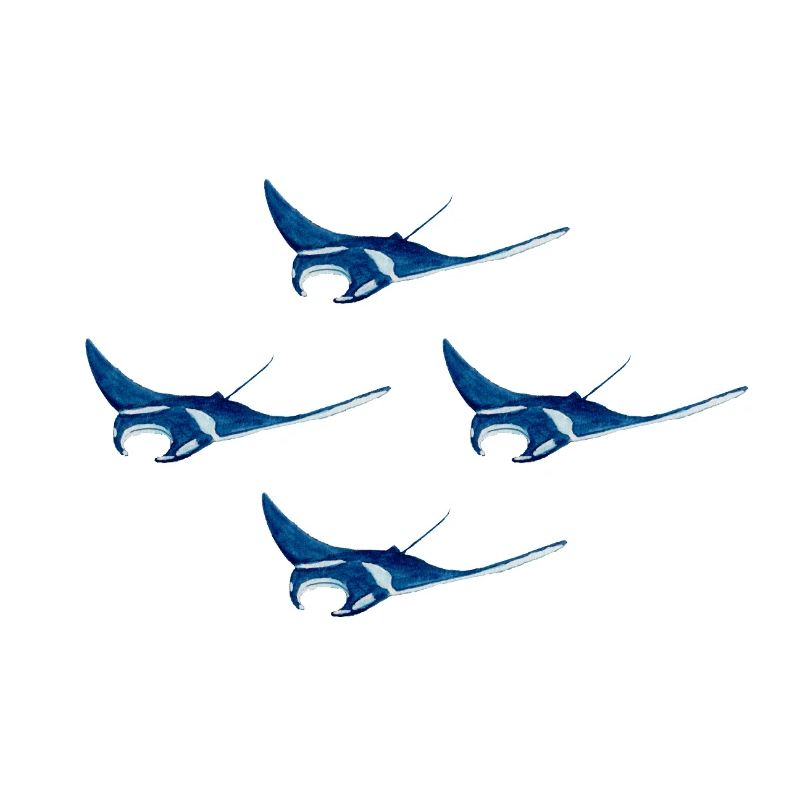 4 Mantarochen