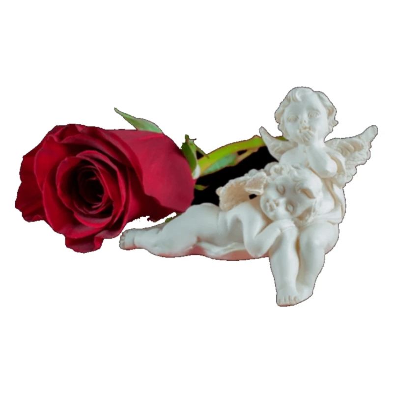 Rose und Engel