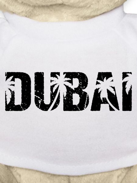 Dubai Palmen