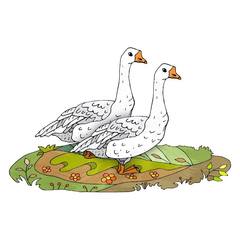 Gänse