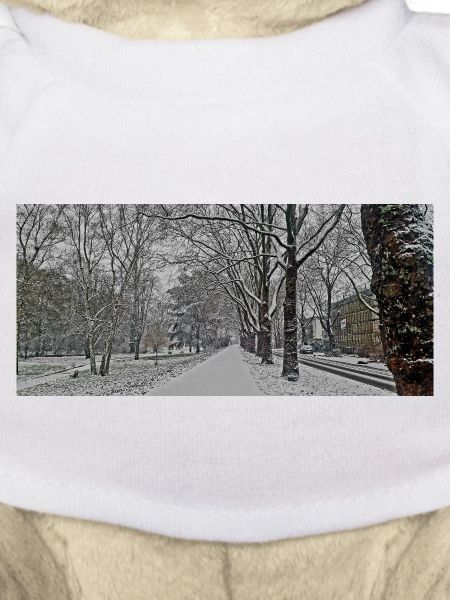 Winter avenue in snowfall