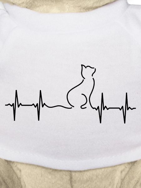 Katze EKG Herzschlag