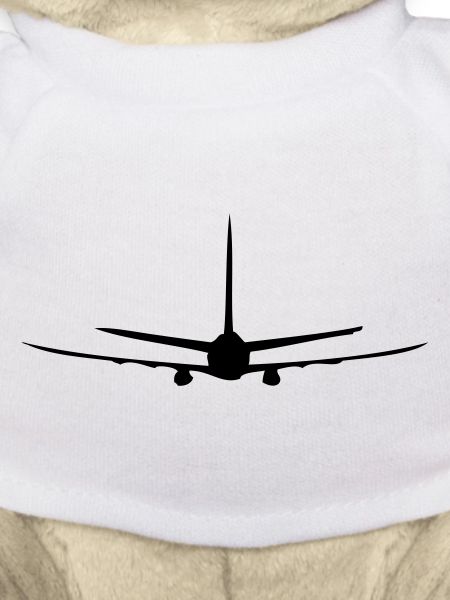 Flugzeug