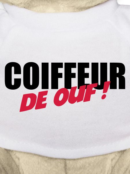 Coiffure / Coiffeur / Coiffeuse / Mode / Cheveux