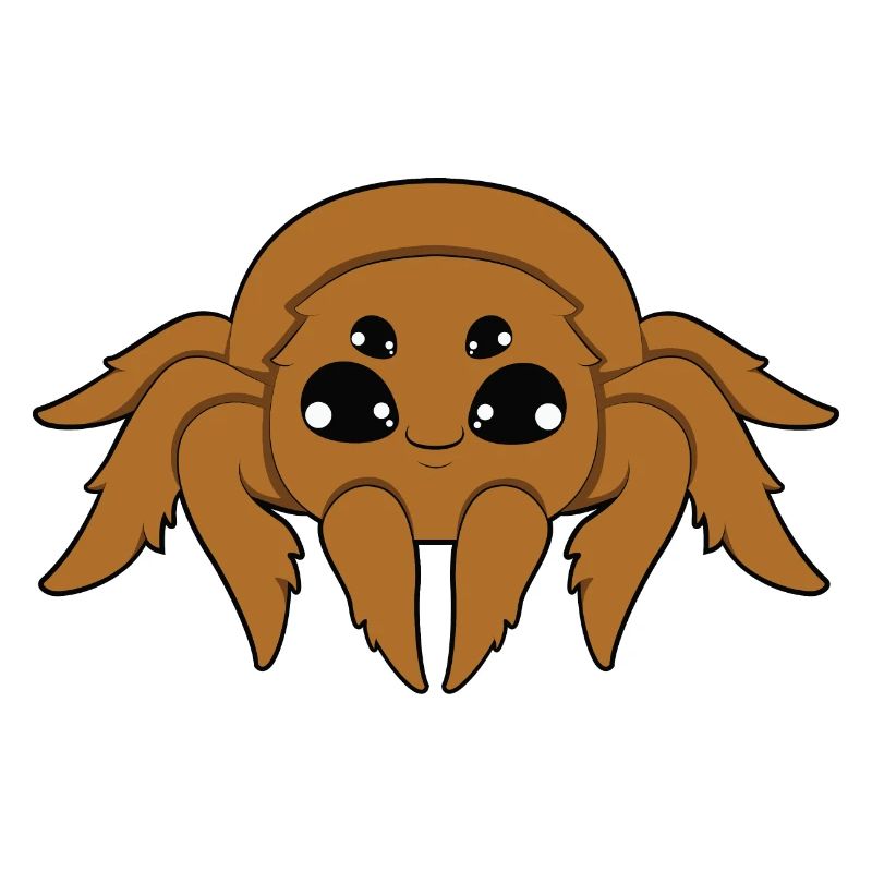 Spinne