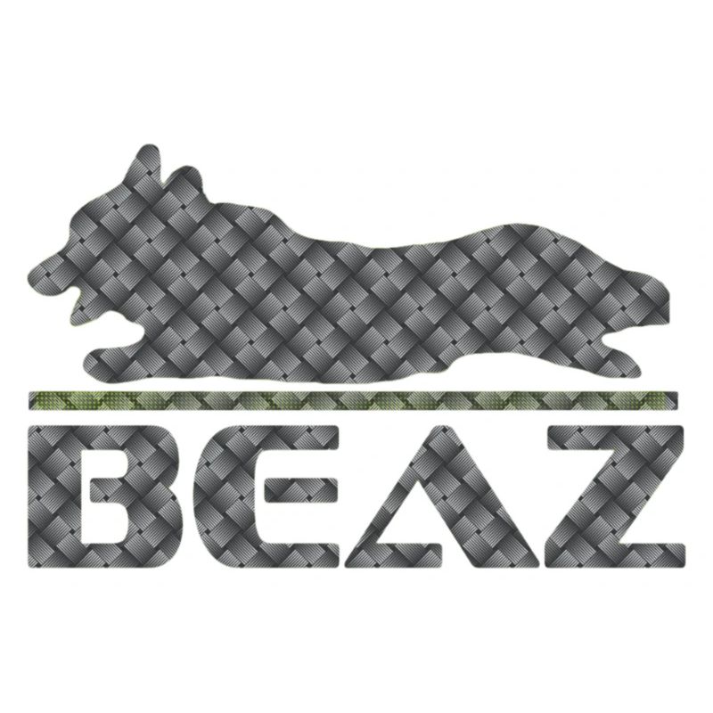 Logo BEAZ 002