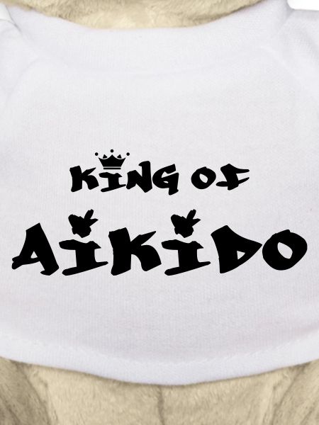 the King of Aikido