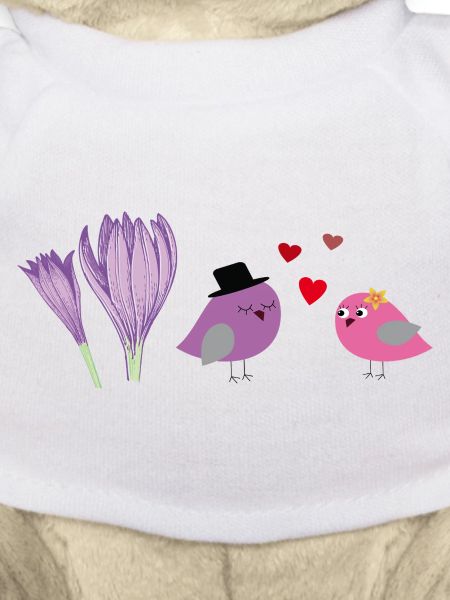 birds in love
