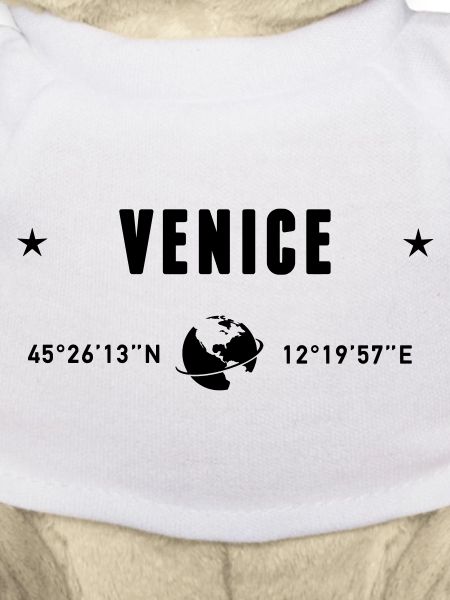 Venise, Italie, coordonnées GPS, globe
